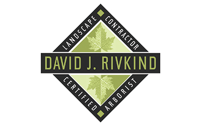 David Rivkind Landscaping