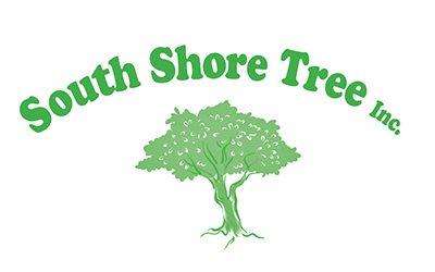 SOUTH SHORE TREE