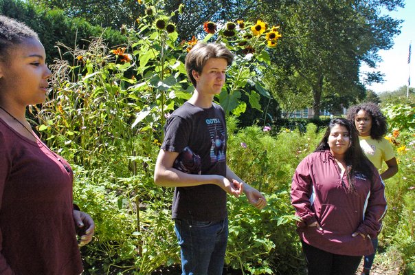 Bridgehampton students Ayamma El, Milo Youngerman, Patricia Figueroa and Amoy Webley in the Sprouts garden.   DANA SHAW