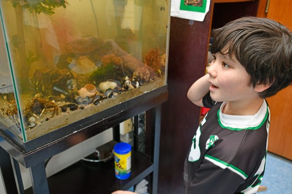 Bridgehampton Seventh-Grader Pushes To Get New Fish Tank At School - 27 ...