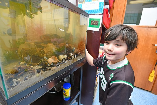 Bridgehampton Seventh-Grader Pushes To Get New Fish Tank At School - 27 ...