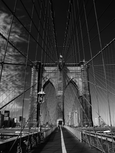 The Brooklyn Bridge. ROBERT LINTON