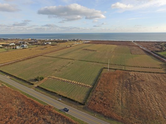 Co-owners of a large oceanfront parcel in Sagaponack have submitted conflicting applications for the property. One proposal calls for a single-family residence in the northeast corner of the property, close to the road and in the middle of an agricultural easement. The second application looks to subdivide the property into four lots along the southern portion of the parcel, near the ocean.