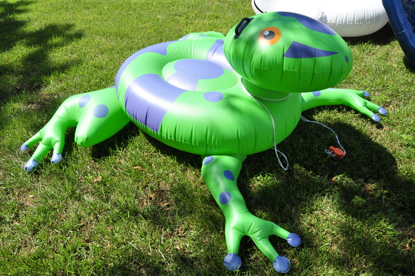 frog swimming float