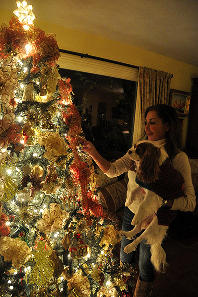 Catherine Paez holds her dog, Lea, as she adjusts ornaments on her family’s Christmas tree in Southampton. MICHELLE TRAURING