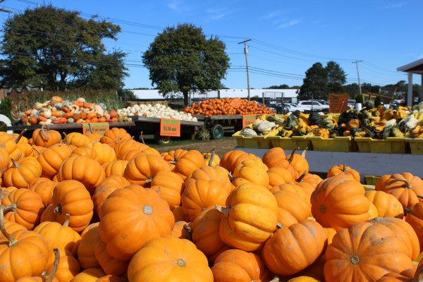 What's Sprouting At Your Local Farmstand In October: Lisa and Bill's ...