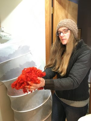 Rachel Stephens with some brightly dyed wool from Kelly and Belle. LISA DAFFY
