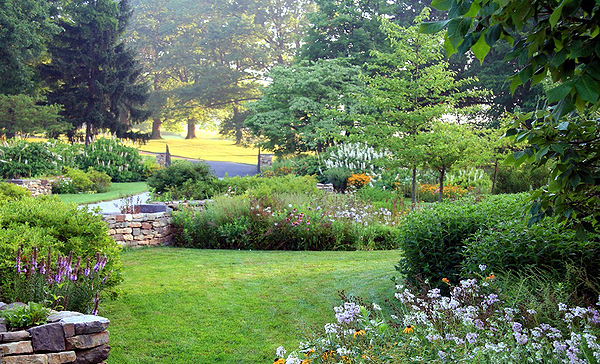 Beds on a sloping lawn include purple nodding onion (allium cernuum), right, and blazing star (liatris), left, add color. Farther back, a young tupelo tree anchors a bed, with white-flowered bottlebrush buckeye (aesculus parviflora) behind it.