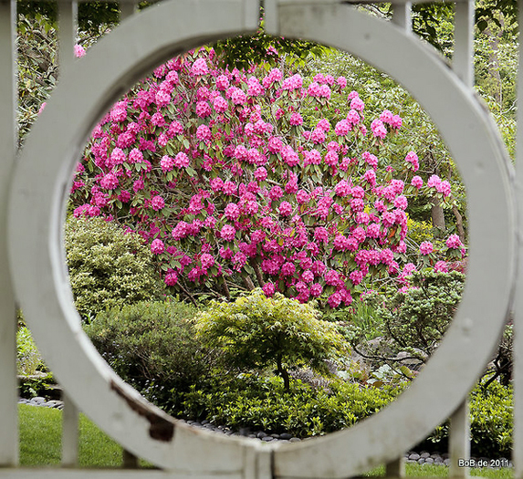 Garden Conservancy Open Days Will Include Remsenburg And Flanders 27 East