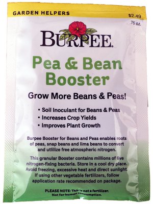 Growing Peas Can Be A Fun Gardening Activity To Share With Children 27 East