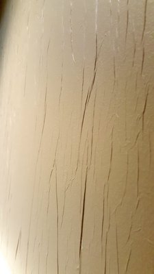 Tissue paper wall. BRIDGET LEROY