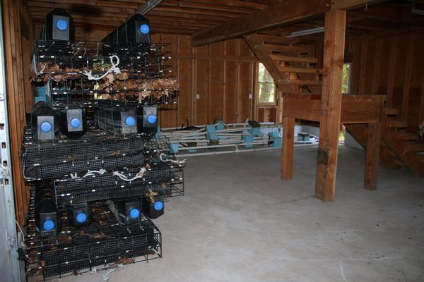 Inside a cottage that could house fish tanks as part of a proposed fish hatchery. PEGGY SPELLMAN HOEY