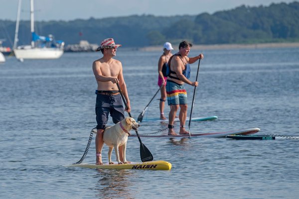 Chris Orr on the water with his paddleboard partner Penelope during the annual Paddle for Pink at Havens Beach on Saturday morning.