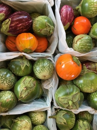 Nightshades: Eggplants, Tomatoes And More Variety - 27 East