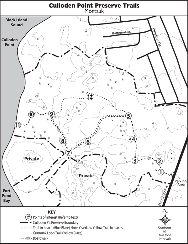 Hiking Culloden Point preserves trails 27 East