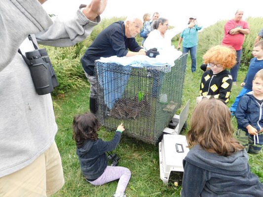 Members of the Third House Nature Center taught children about quail on Sunday at Eddie Ecker Park in Montauk. ELIZABETH VESPE