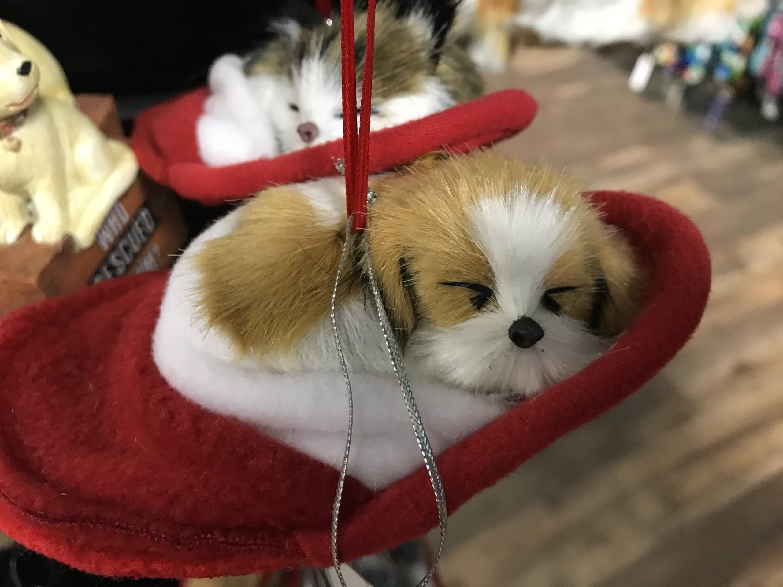 Harbor Pets Montauk Pet Friendly