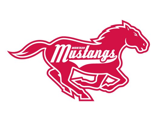 Szafarski Takes Helm Of Mustangs; Another Busy Offseason For HCBL - 27 East