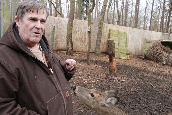 Evelyn Alexander Wildlife Rescue Center employee Jim Hunter plays with a blind deer