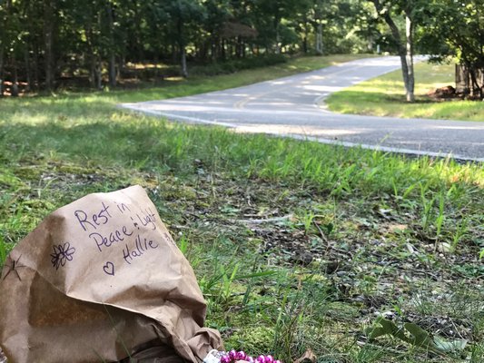 A bouquet of flowers placed near the corner of Terry's Trail and Alewife Brook Road in honor of Hallie Ulrich
