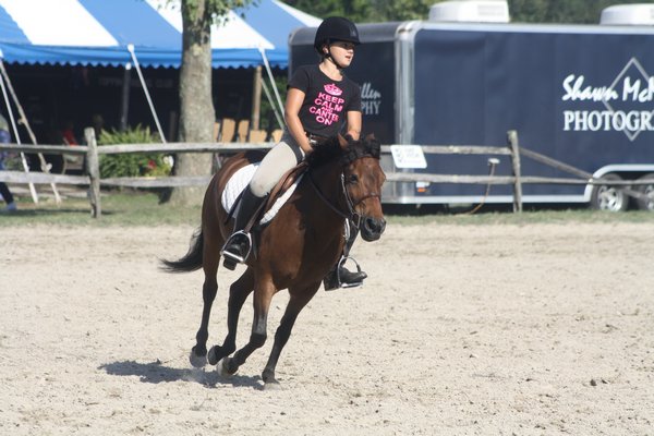 A pony takes a nap in the schooling ring. CAILIN RILEY