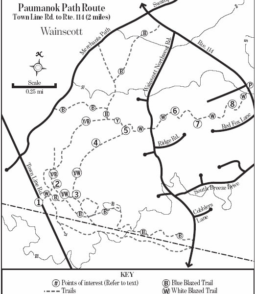 Paumanok Path update Wainscott section 27 East