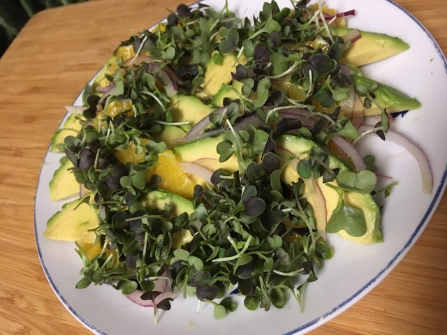 Orange, avocado, red onion with micro-greens salad