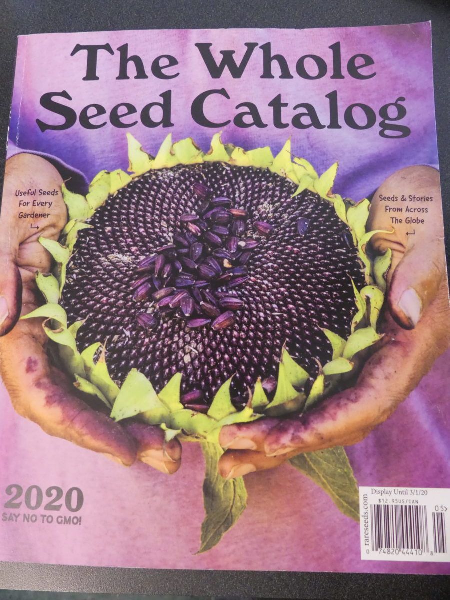 Don't Delay Ordering Seeds For The 2020 Growing Season 27 East