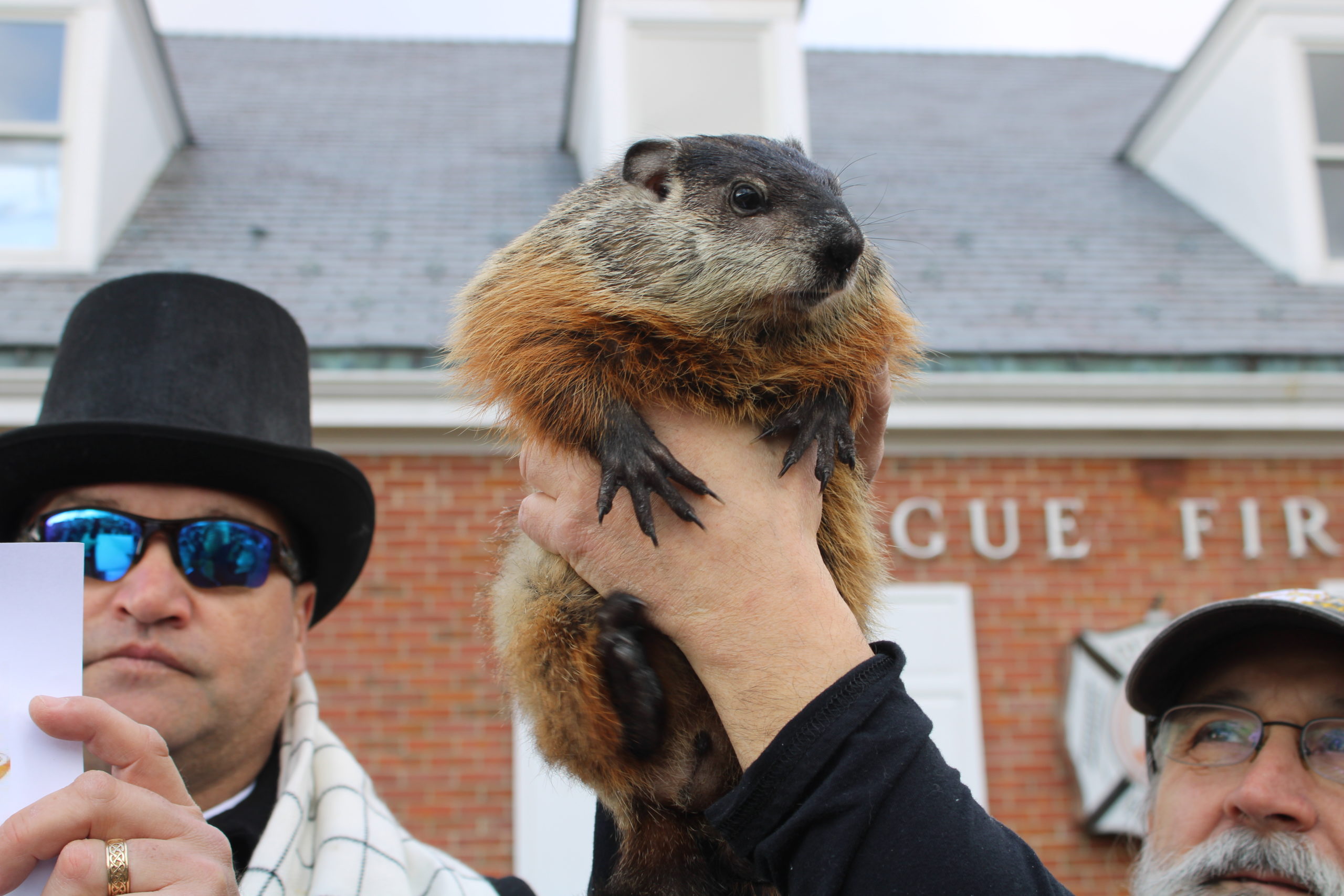 'Quigley' visited Quogue Village Fire Department on Sunday and announced an early spring. 