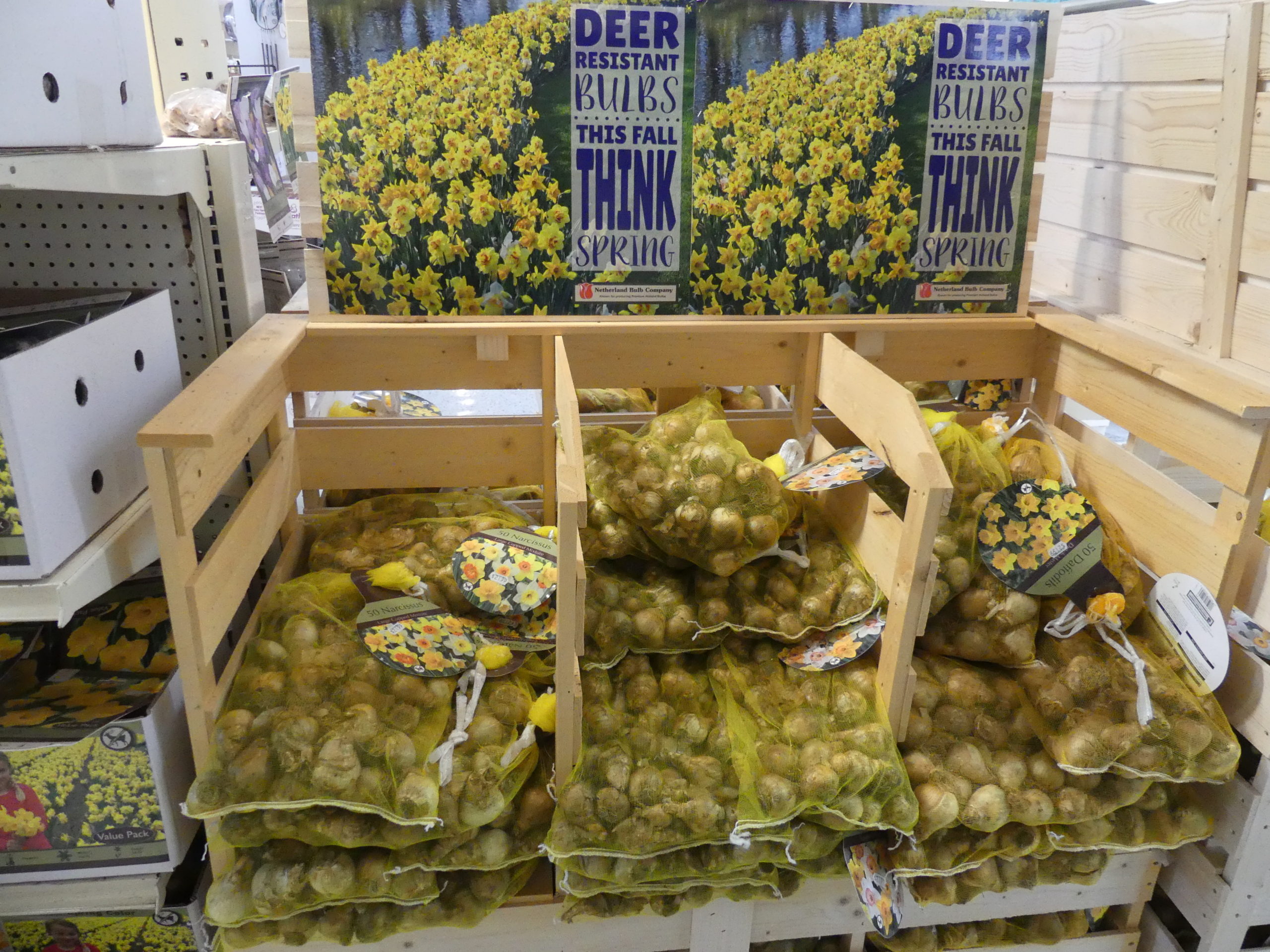 Start With Quality Bulbs For The Best Spring Blooms 27 East