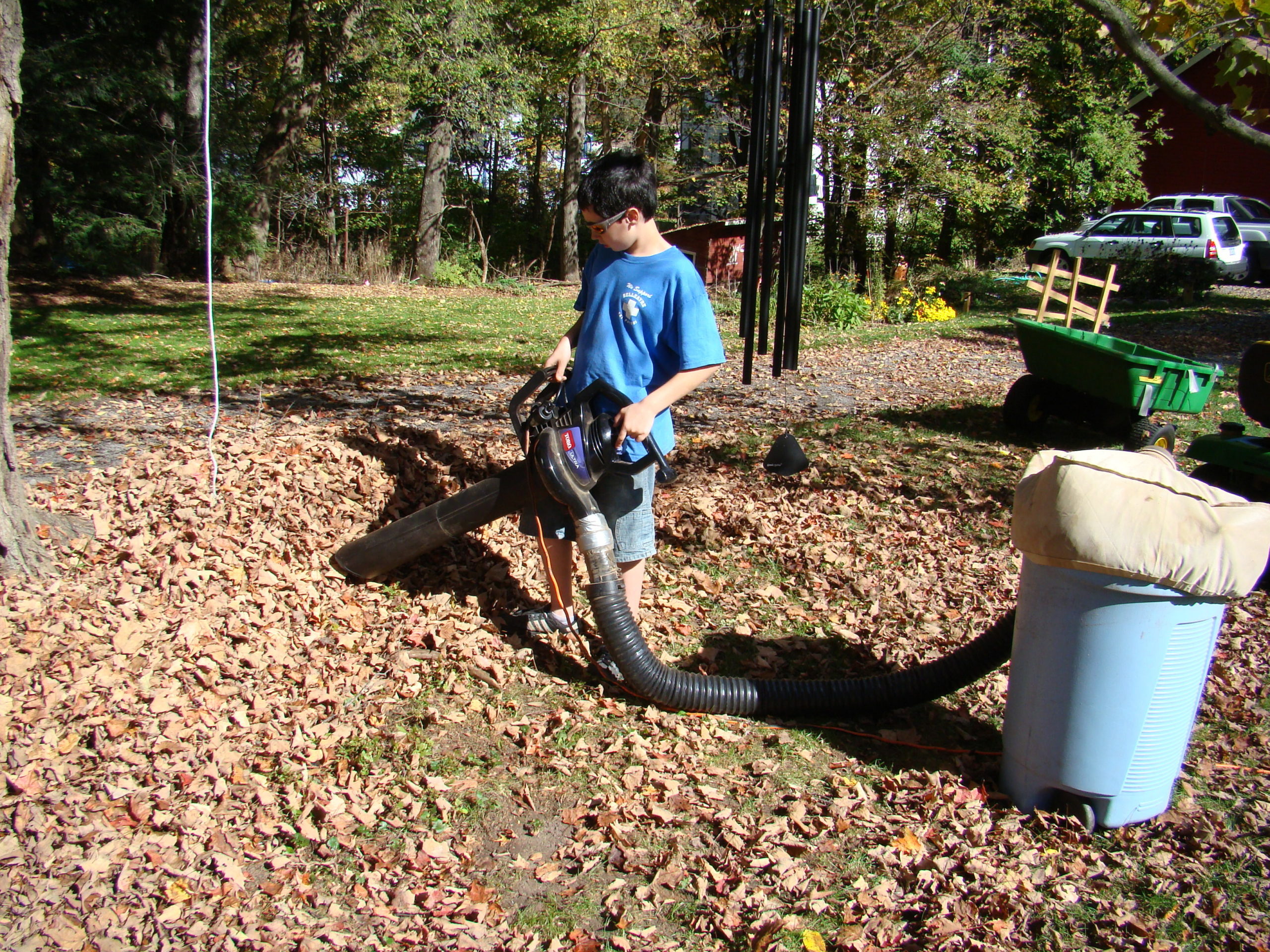Leaves Raking, Blowing And Mulching Garden Gold 27 East