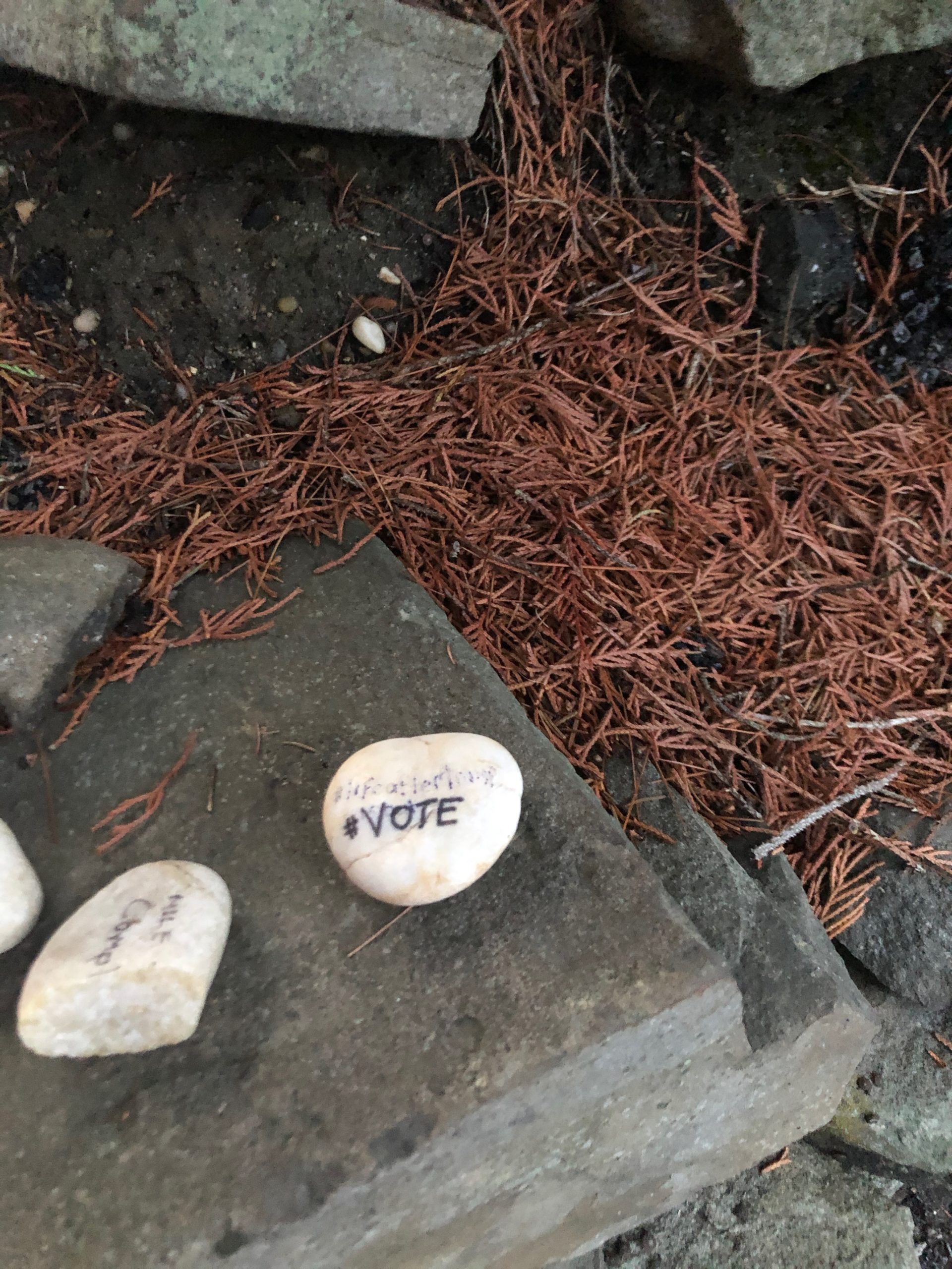 A rock with the word 