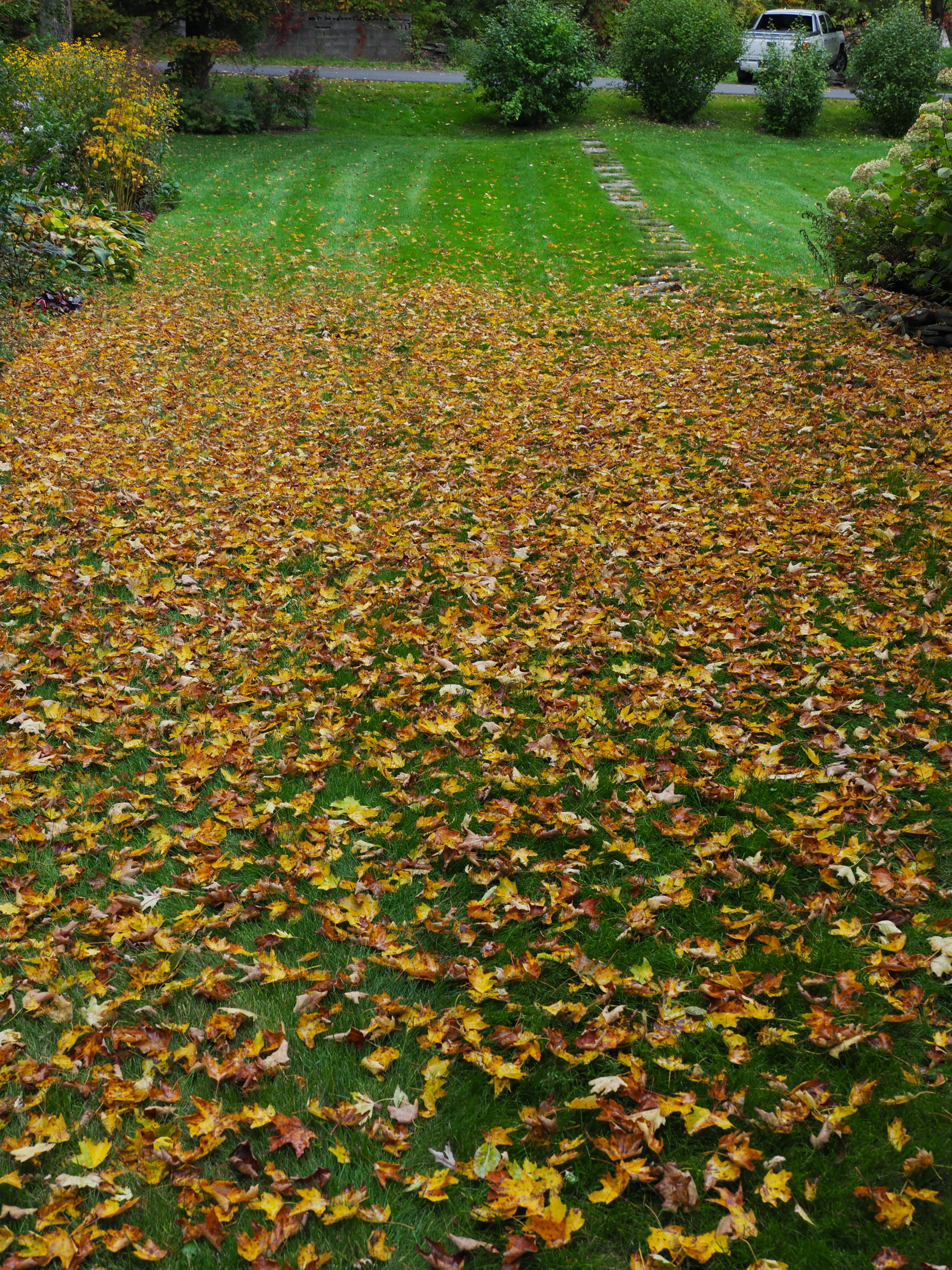 Leaves Raking, Blowing And Mulching Garden Gold 27 East