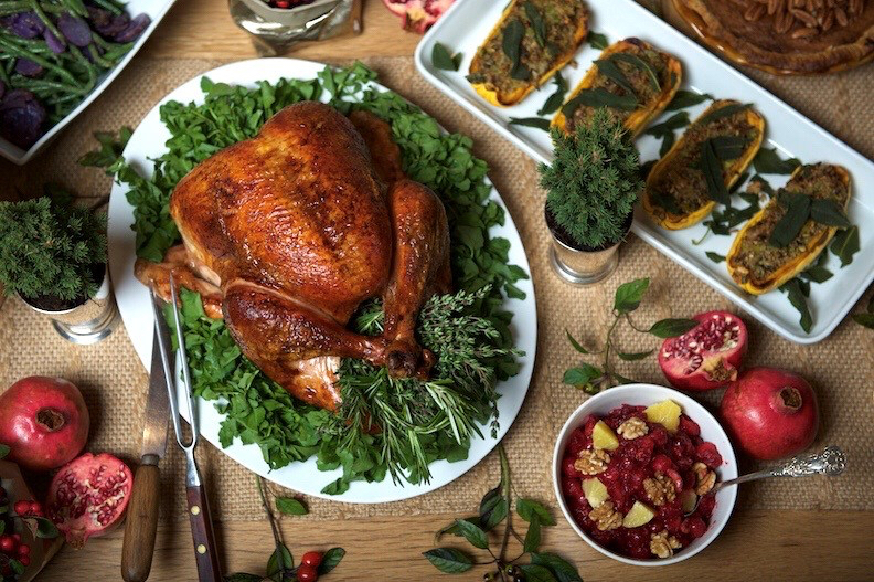 Pictures Of A Talking Turkey Thanksgiving Pictures Of A Talking Turkey Thanksgiving