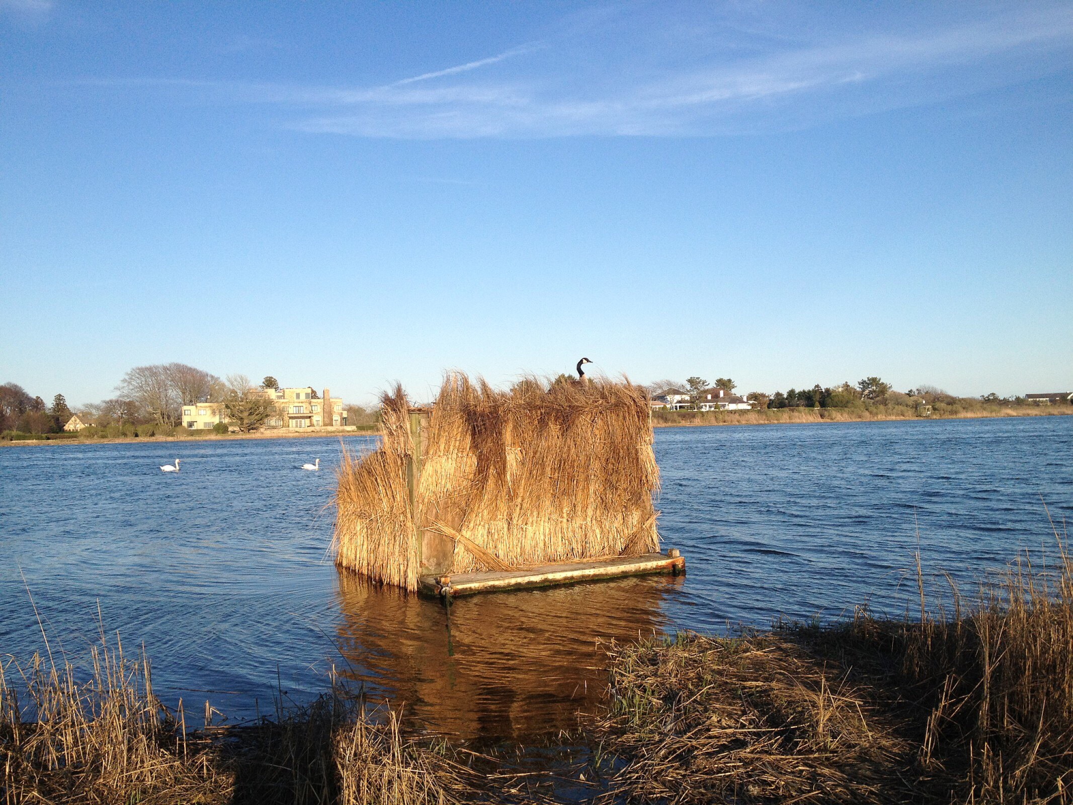 trustees-warning-to-new-off-season-residents-that-waterfowl-hunting