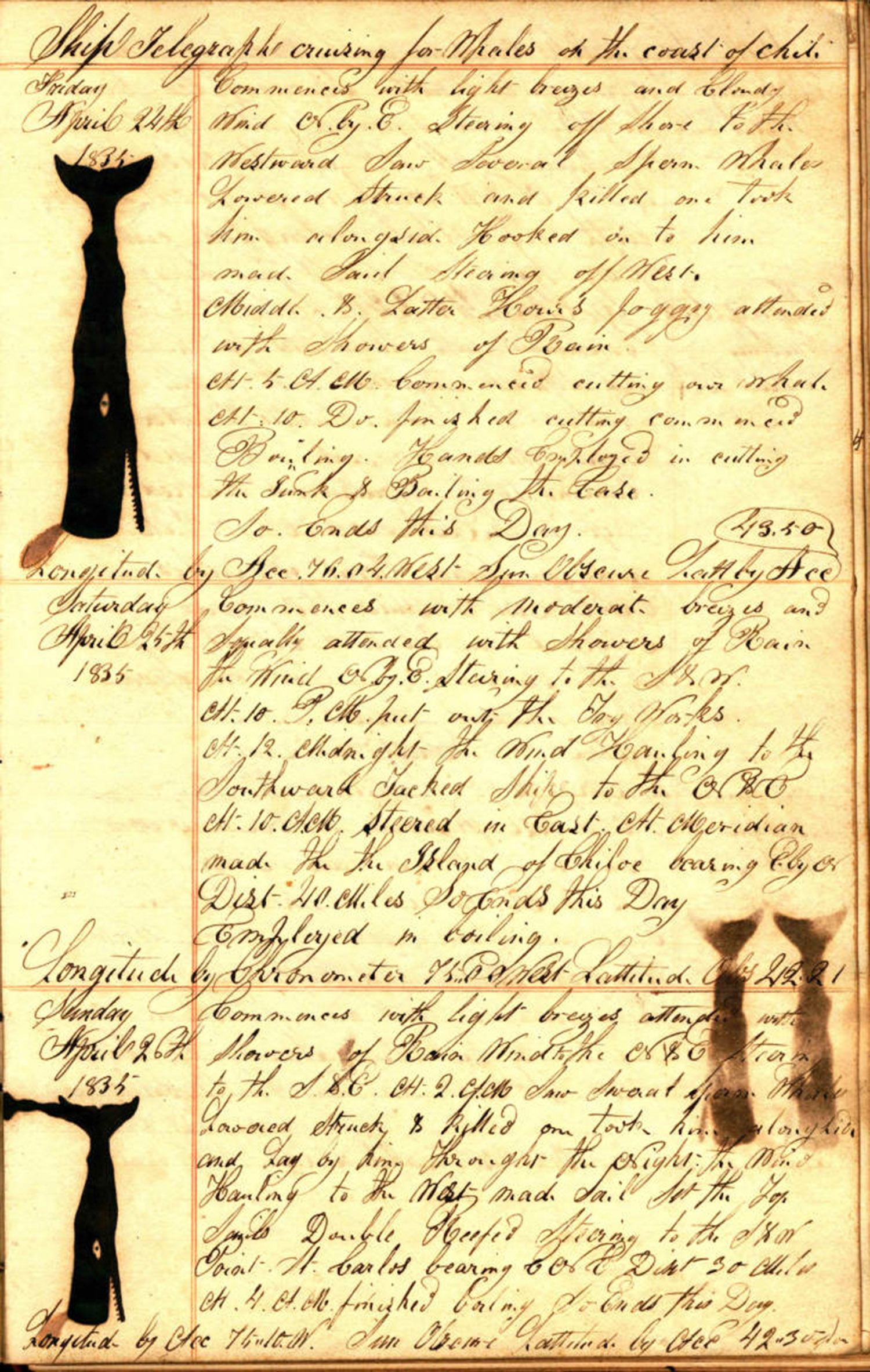 A page taken from the whaling ship Telegraph, on a voyage from Sag Harbor to the South Atlantic Ocean and Oceania, 21 October 1834 - 21 May 1836.    COURTESY EAST HAMPTON LIBRARY, LONG ISLAND COLLECTION