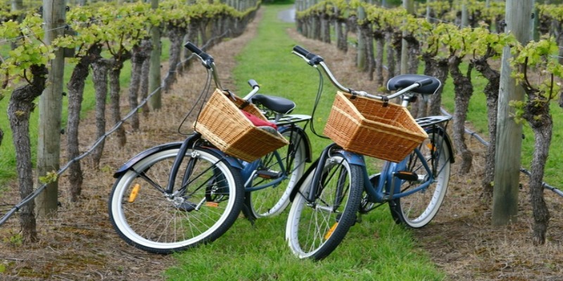wine bike tour