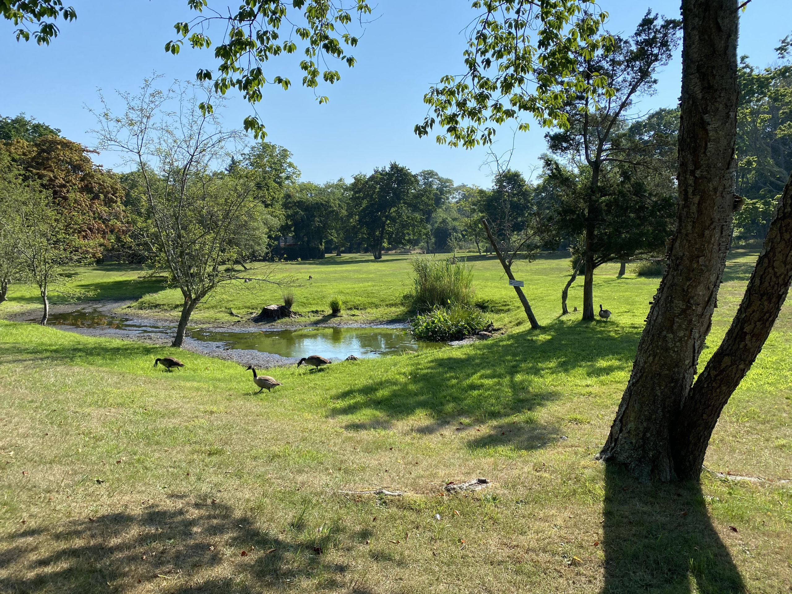 Mayor Still Hopes To See Powell Land Preserved Despite Rejection of
