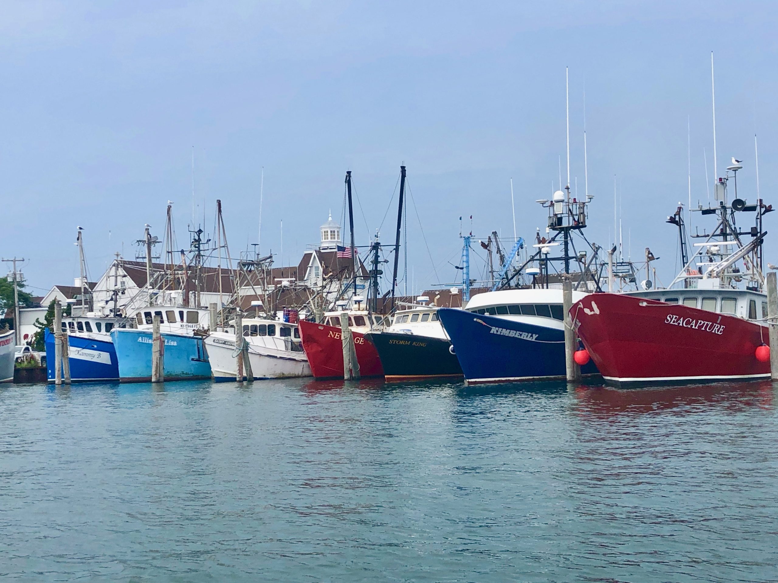 East Hampton Trustees To Hear Wind Farm Fisheries Study Plan Monday