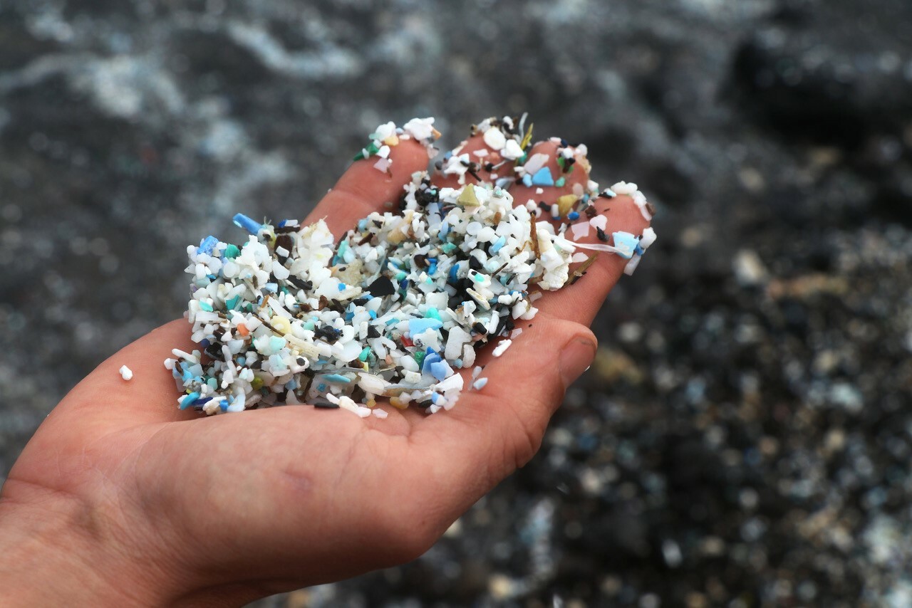 Southampton Arts Center ‘EARTH — Artists As Activists