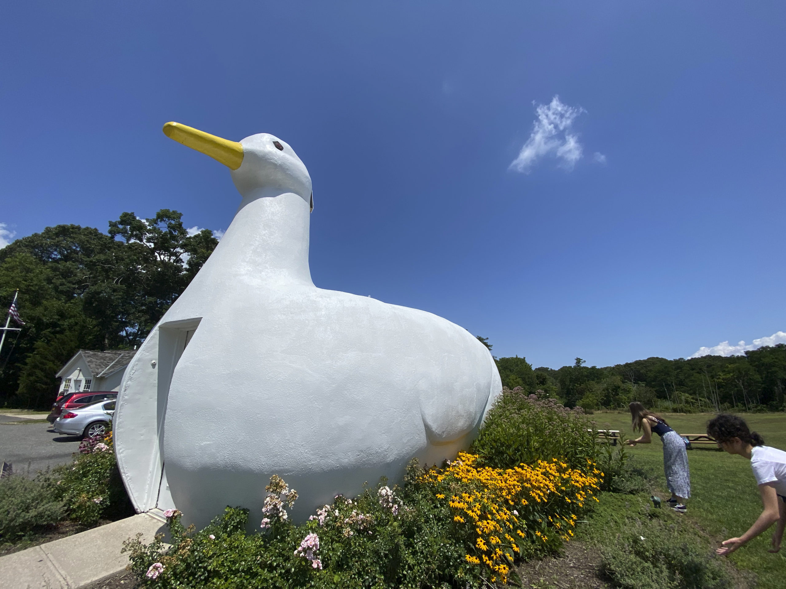 Not Your Typical Sitting Duck: Now 90, The Big Duck’s History In Motion ...