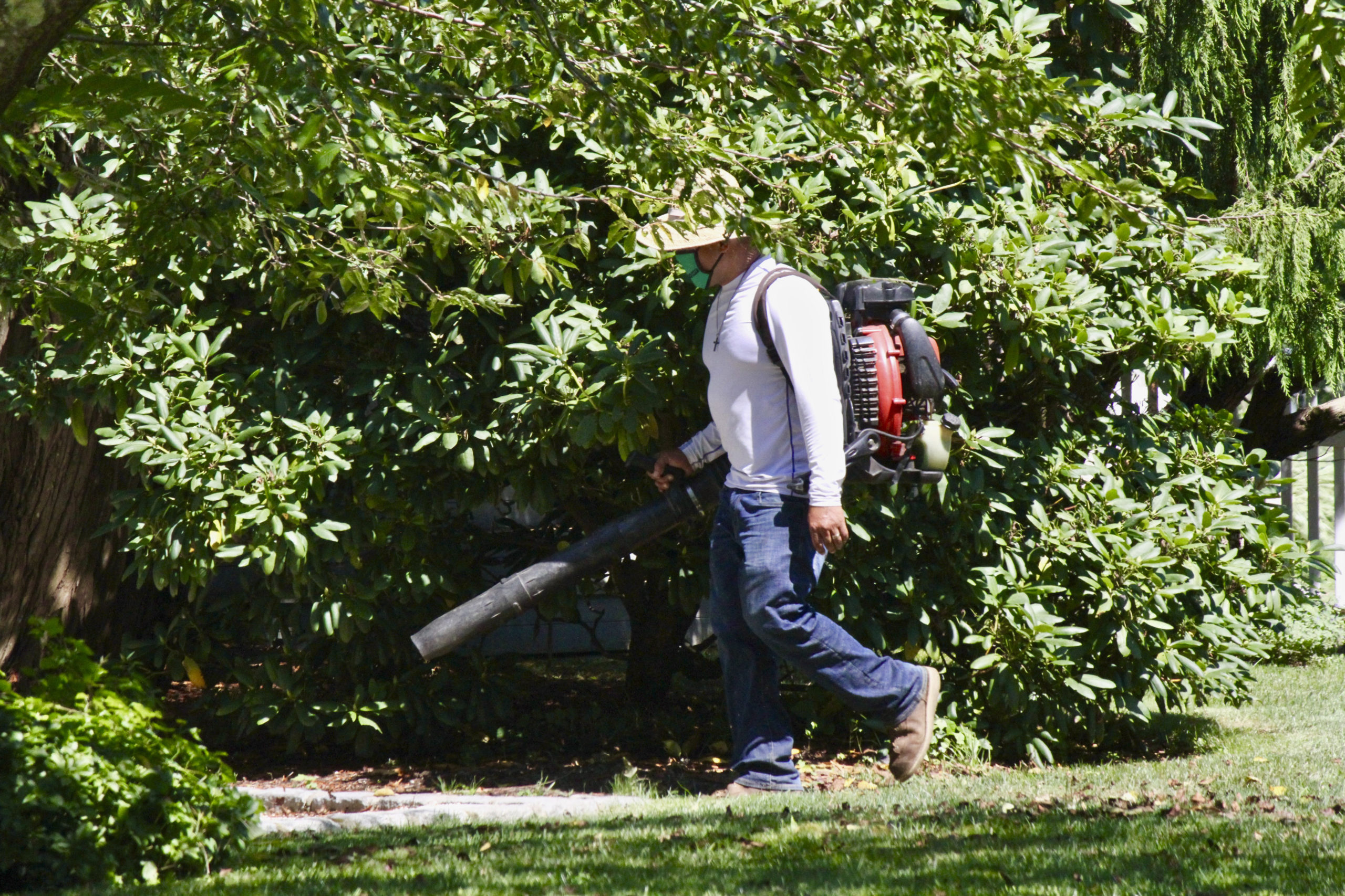 North Haven Proposes Ban On Gas Leaf Blowers 27 East