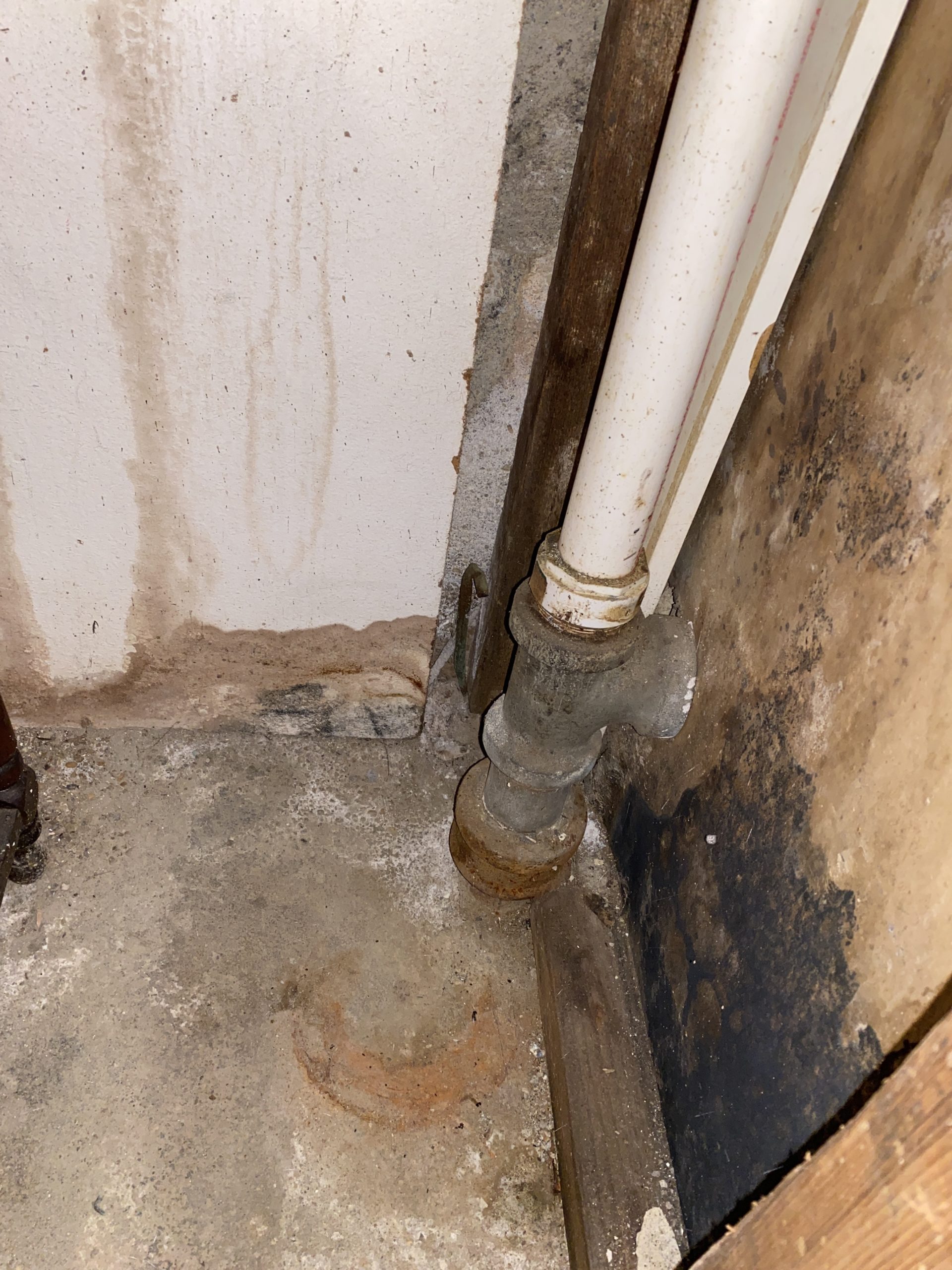 The common denominator in any mold infestation is moisture, according to Brad C. Slack, the founder of Mold Pro, Inc.