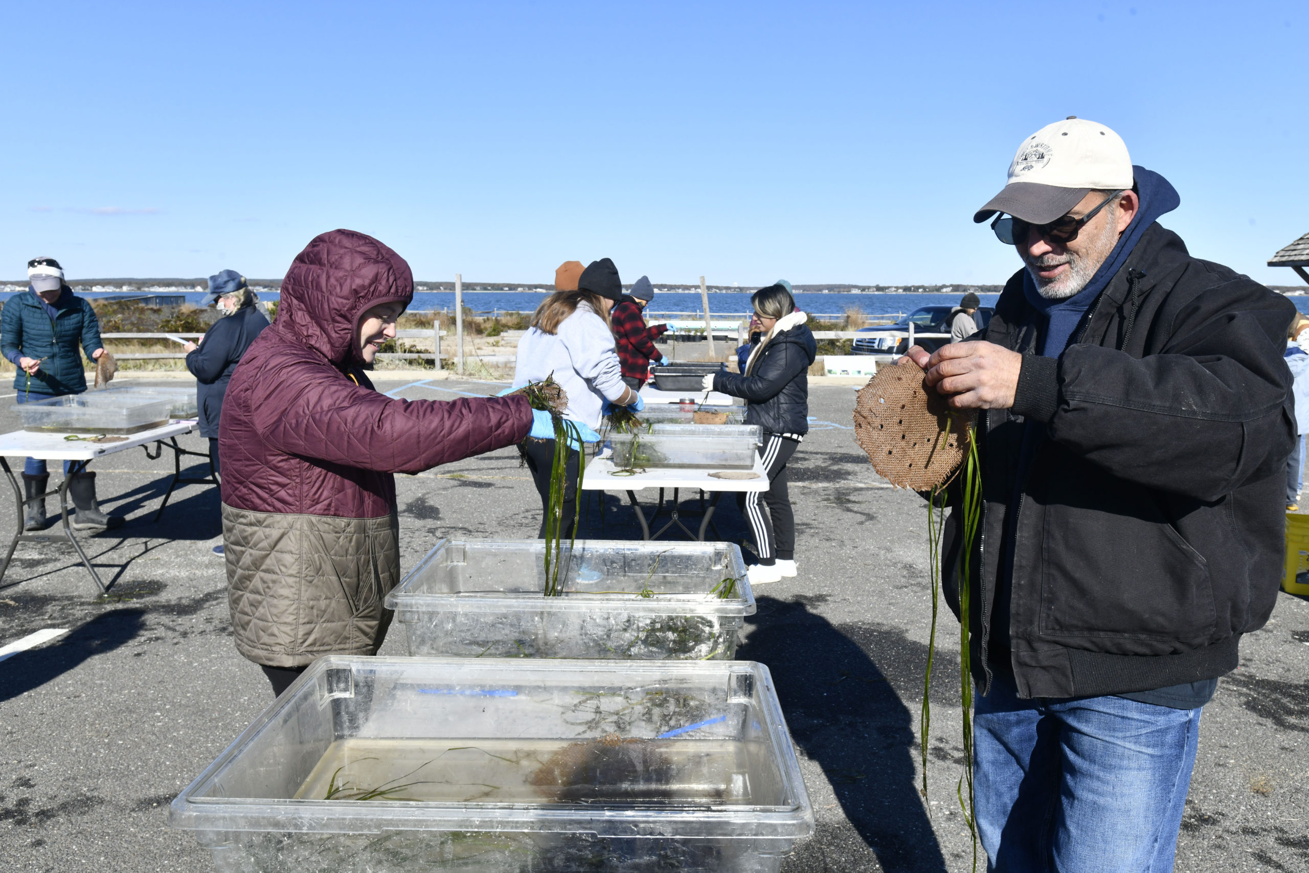 Hampton Bays High School science teacher Christina Facini and Robert Vasiluth weave eelgrass on Saturday as part of the Marine Meadows Workshop hosted by Cornell Cooperative Extension.  DANA SHAW
