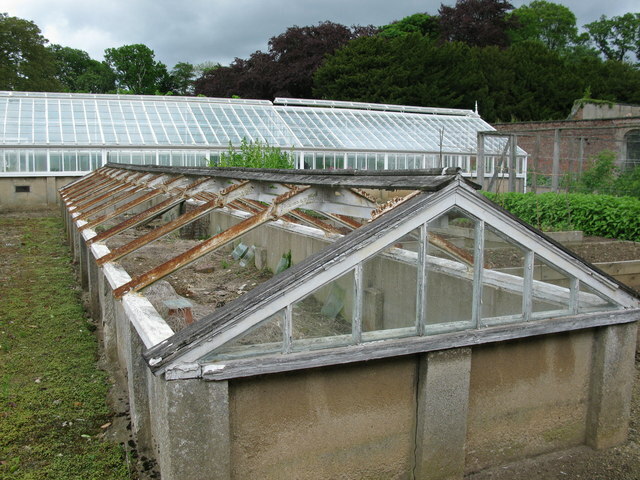 More-intricate cold frames were common in older commercial greenhouse operations.  This frame is double sided and with an east/west orientation instead of just south like our cold frames. This design was able to be accessed from both sides.  Commercially these were used for growing pansies, forcing spring bulbs and propagation.