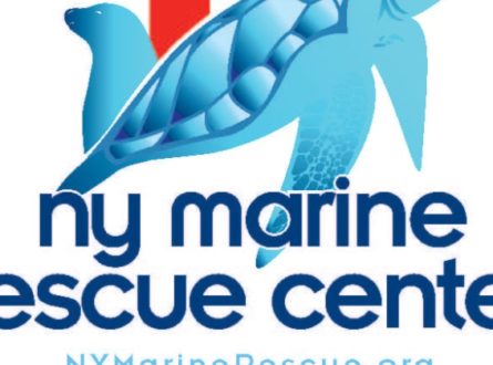 Behind the Scenes Tour of the Rescue Center Hospital at the New York Marine Rescue Center: This program is for all ages.