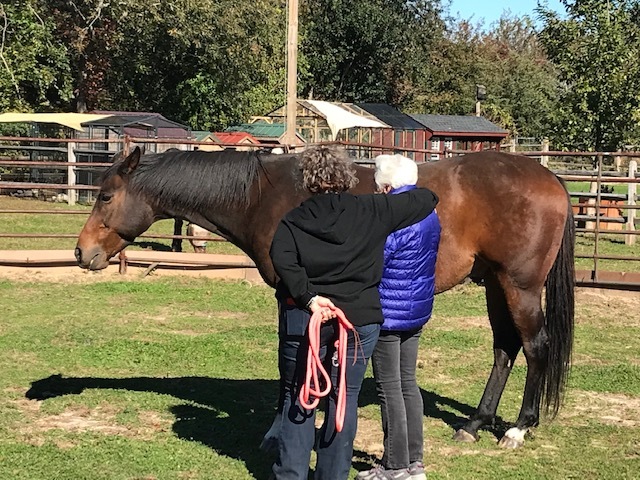 Two members of an East End Hospice bereavement group share a moment at Spirit's Promise Equine Rescue in Riverhead.