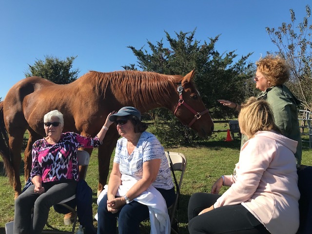 An East End Hospice bereavement group meets at Spirit's Promise Equine Rescue in Riverhead.