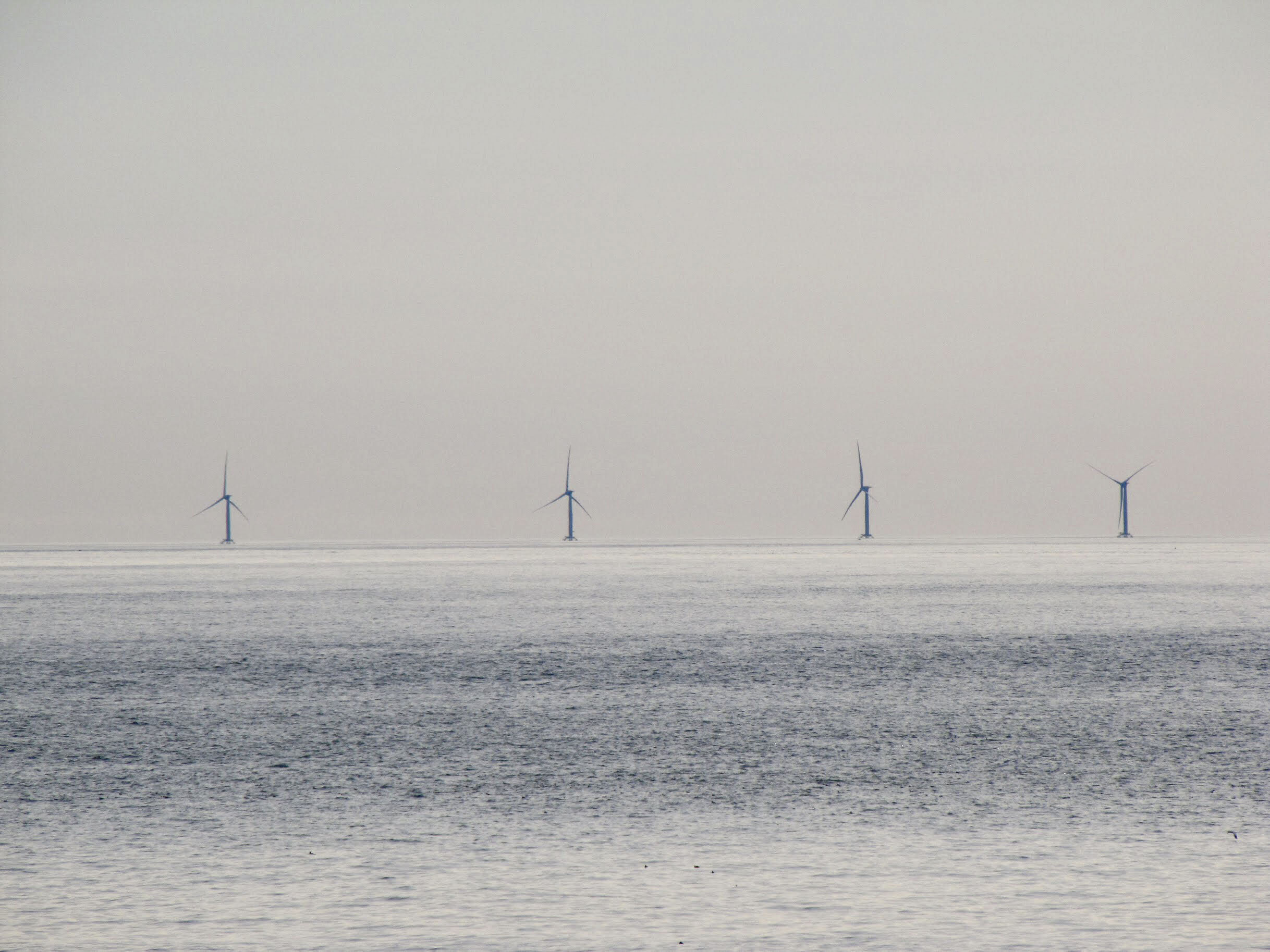 The Block Island Wind Farm turbines, as seen from the bluffs in Camp Hero State Park in Montauk.  MICHAEL WRIGHT
