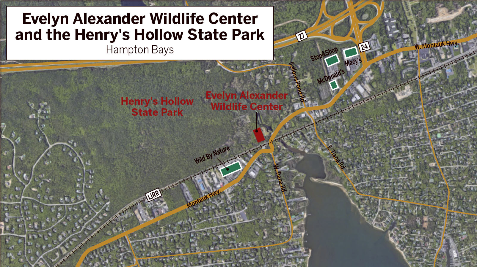 Hunting is permitted on the state property that abuts the wildlife rescue center.
